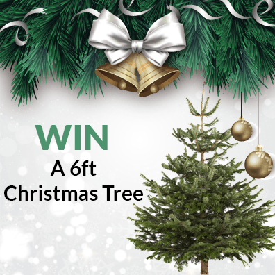 Win A Christmas Tree 2022 Win-A-Christmas-Tree - Beautiful Gardens