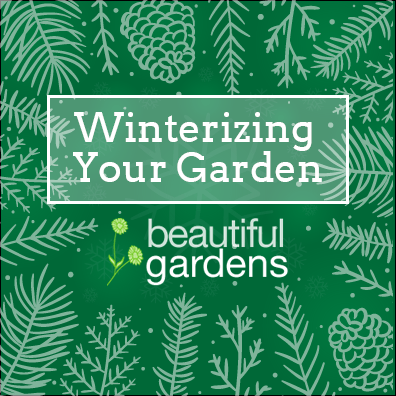 Winterizingyourgarden