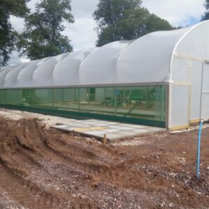 Paving-side-of-polytunnel2