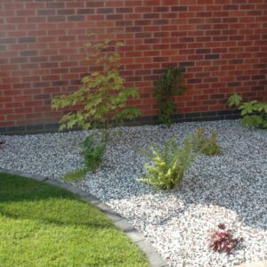 gravel-garden-planting